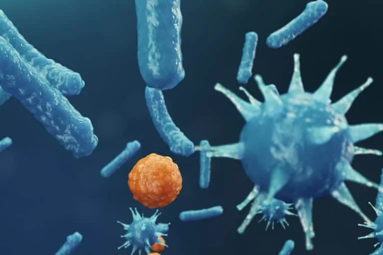 Вирусен хепатит – ето как да го разпознаем и лекуваме