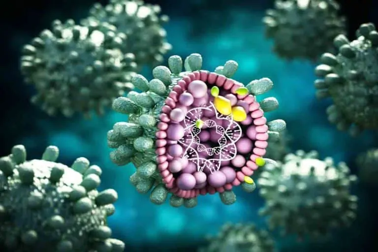 Токсичен хепатит – същност, симптоми и решения